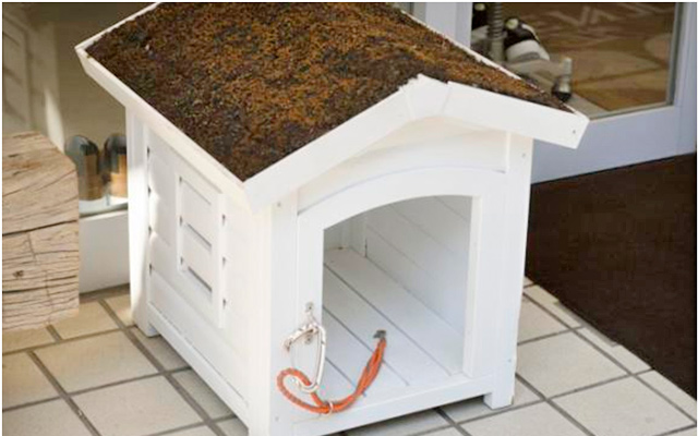 犬小屋の写真