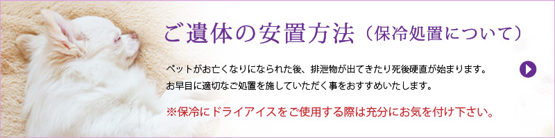 ご遺体の安置方法（保冷処置について）