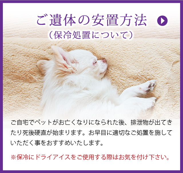 ご遺体の安置方法（保冷処置について）