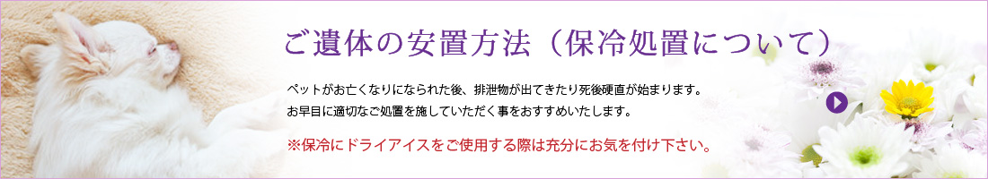 ご遺体の安置方法（保冷処置について）