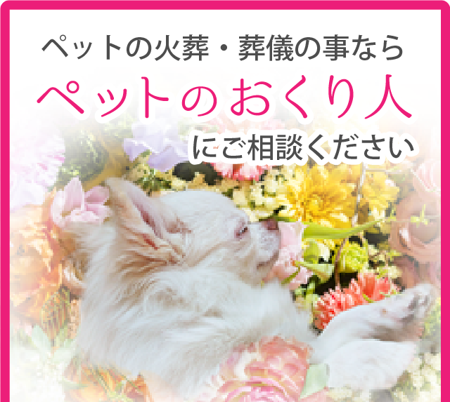 ペット火葬・葬儀のことならペットのおくり人にご相談ください