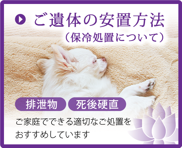 保冷処置方法についてはこちら