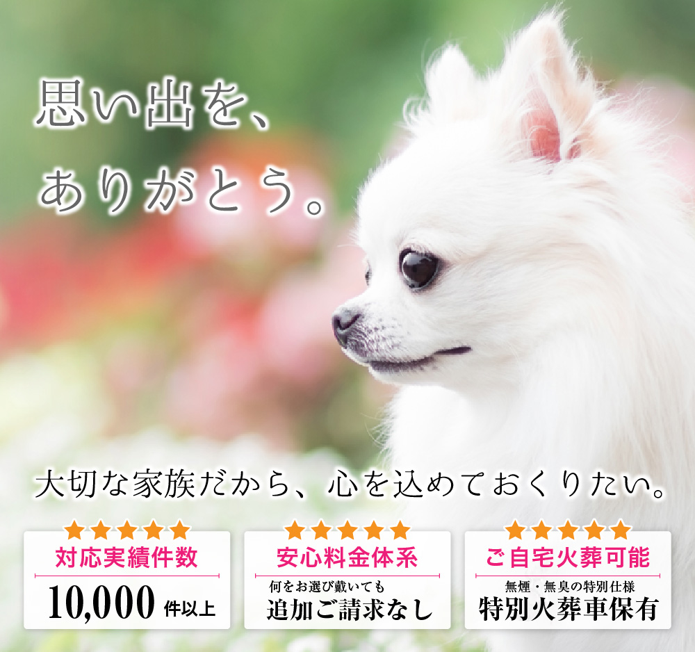 他応件数1000件以上・安心料金体系・ご自宅火葬可能