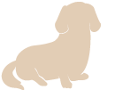 犬のイラスト