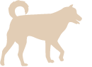 中型犬のイラスト