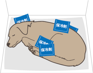 ②保冷剤の配置のイラスト
